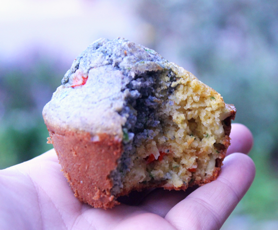 Blue & Yellow Muffin in hand 5530 550
