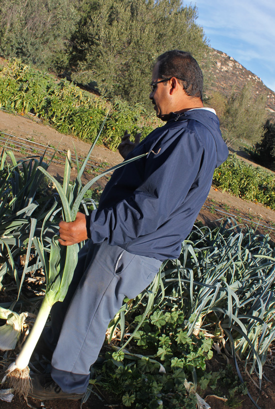 Salvador giving us a tour of The Ranch garden. 