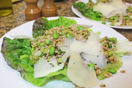 Italian Farro and Fava or Soybean Salad