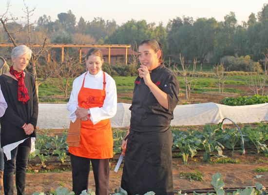 Executive Chef, Denise Roa shows us around the garden.