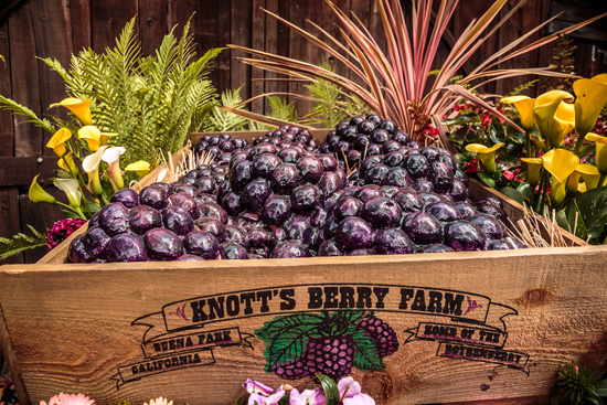 Knott’s Berry Farm celebrates annual Boysenberry Festival