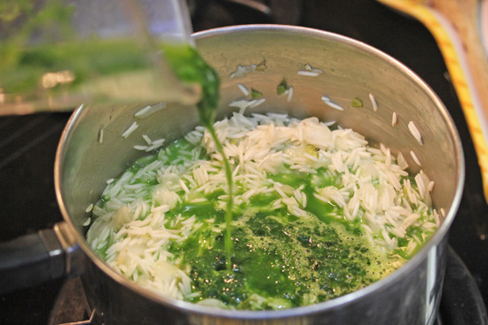 Green Rice with Cilantro and Spinach is easy to make. 